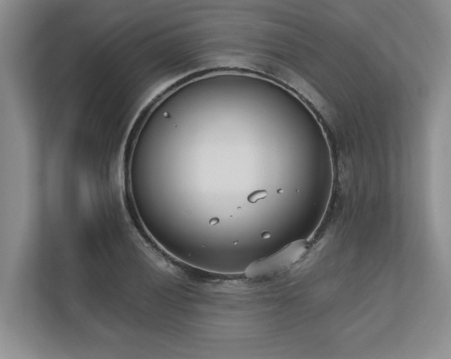 X0000110771028200906221138