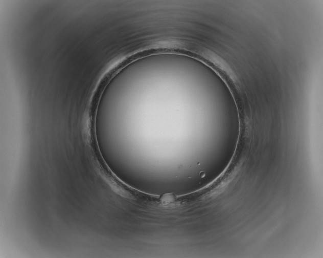 X0000110771029200906221138