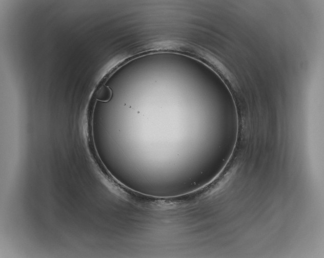 X0000110771034200906221138