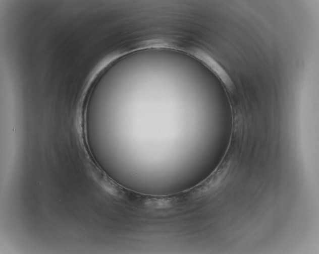 X0000110771051200906221138