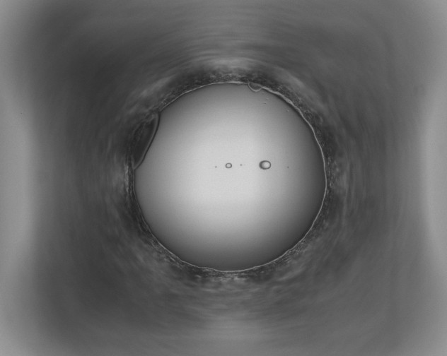 X0000110771061200906221137