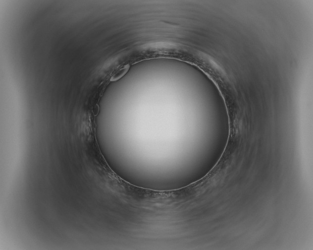 X0000110771062200906221137