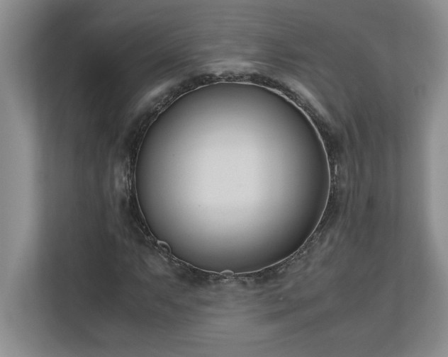 X0000110771063200906221137