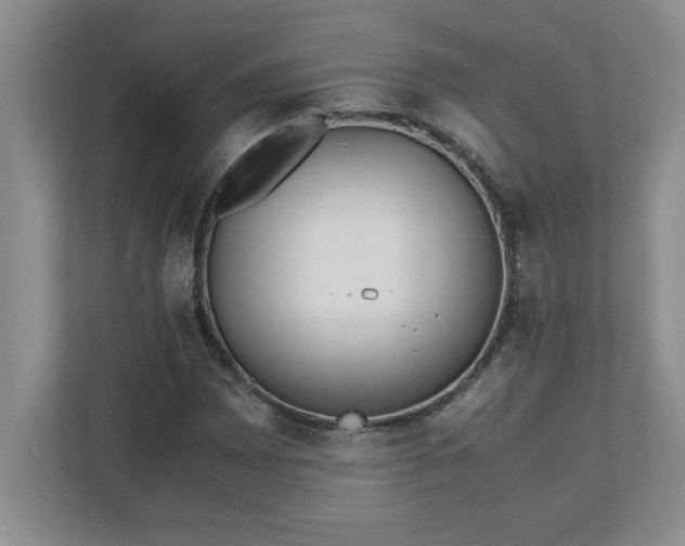 X0000110771065200906221137