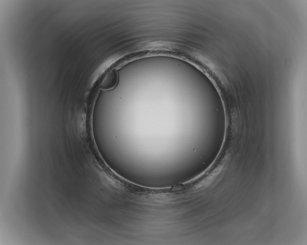 X0000110771066200906221137