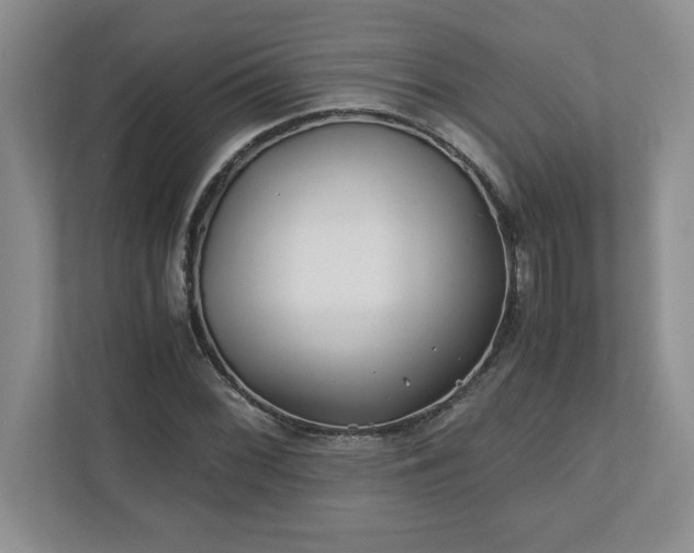 X0000110771068200906221137