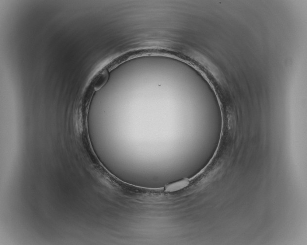 X0000110771069200906221137