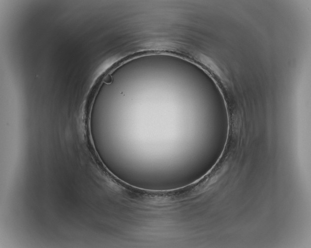 X0000110771071200906221137