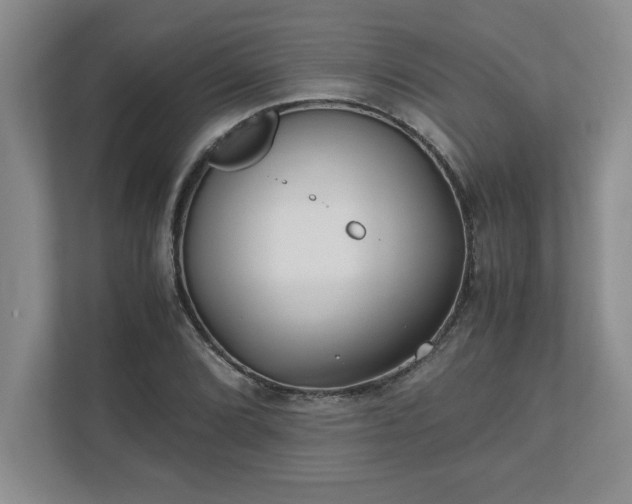 X0000110771072200906221137