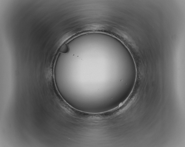 X0000110771073200906221137