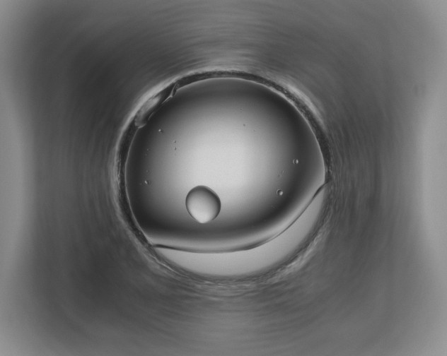 X0000110771077200906221137