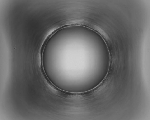 X0000110771079200906221137