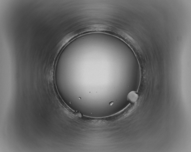 X0000110771081200906221137