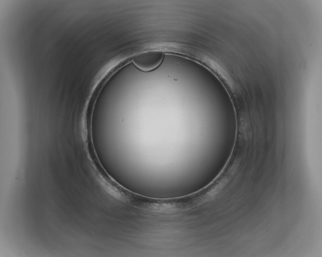 X0000110771082200906221137