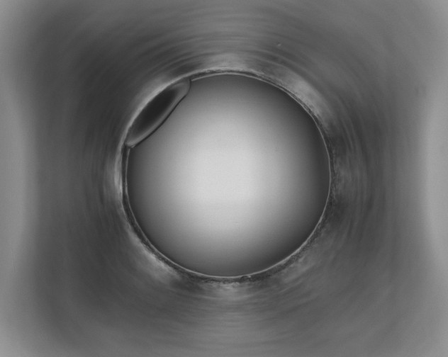 X0000110771084200906221137