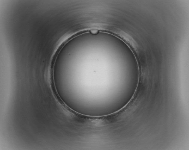 X0000110771085200906221137