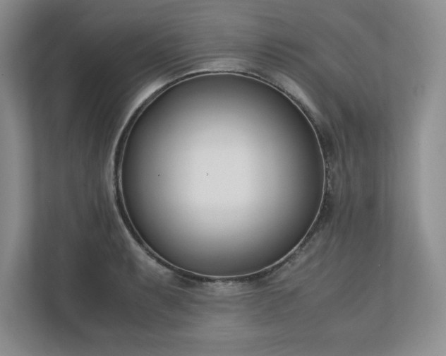 X0000110771087200906221137