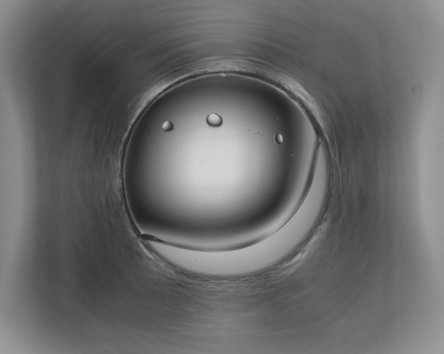 X0000110771089200906221137