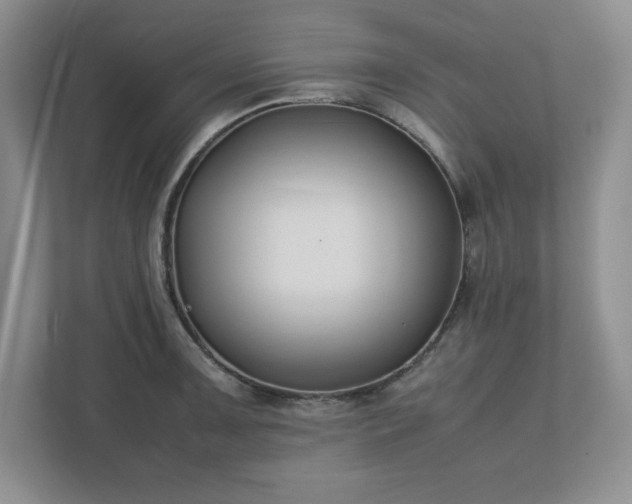 X0000110771091200906221137