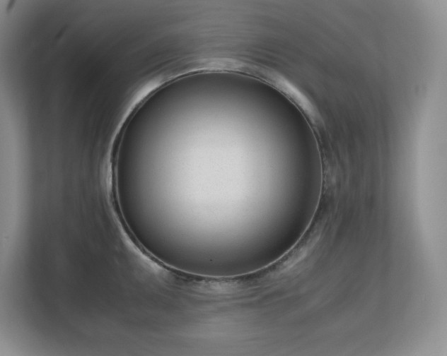 X0000110771095200906221137