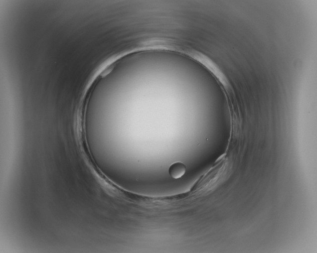 X0000110771101200906221137