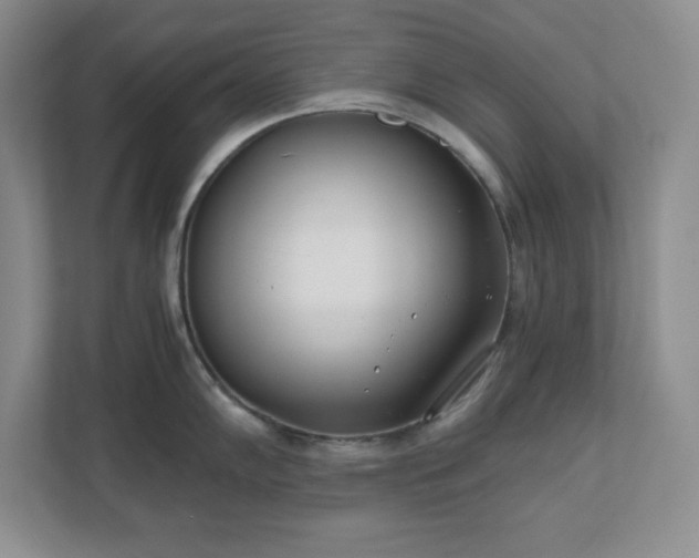 X0000110771102200906221137