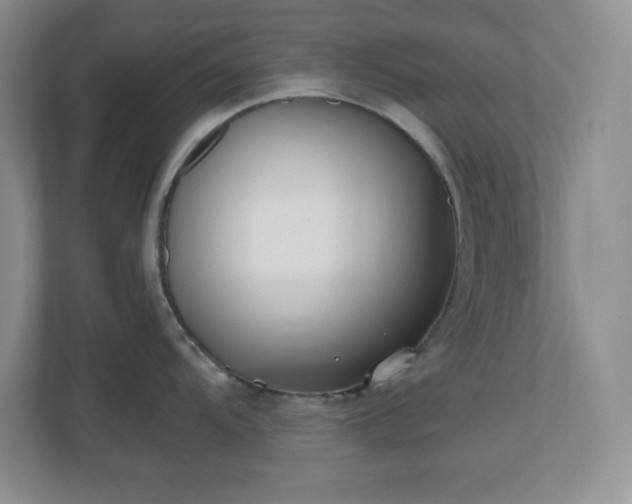 X0000110771104200906221137