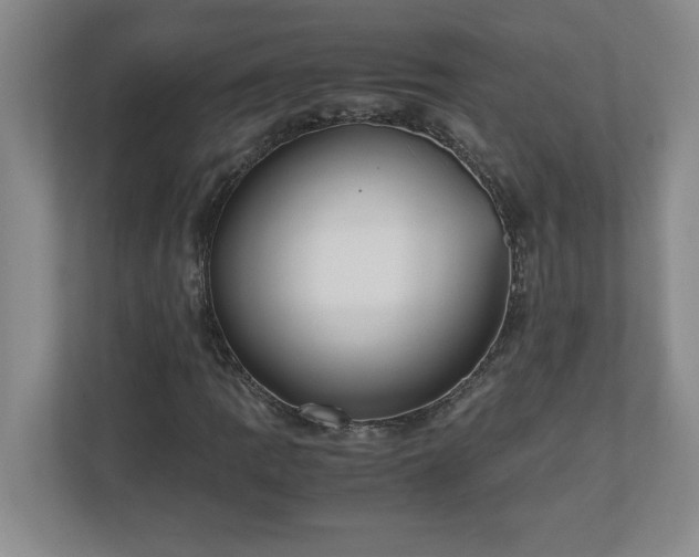 X0000110771109200906221136