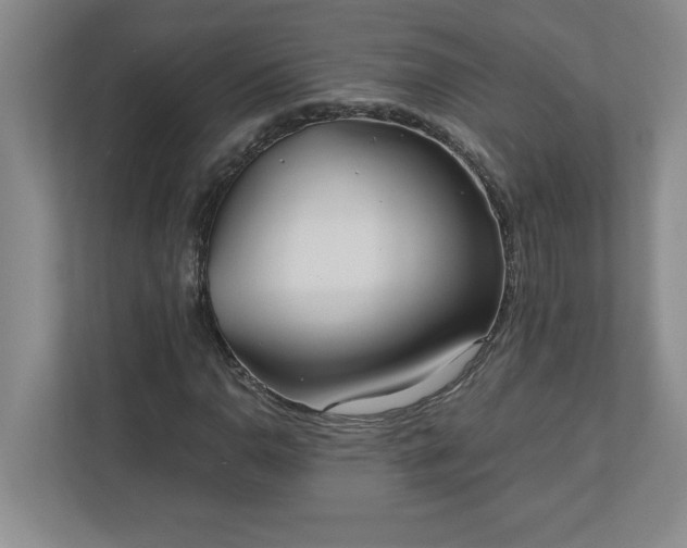 X0000110771110200906221136