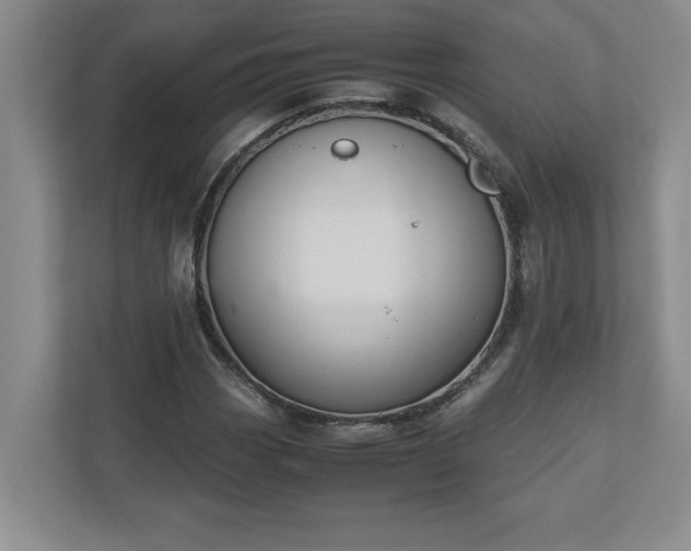 X0000110771113200906221136