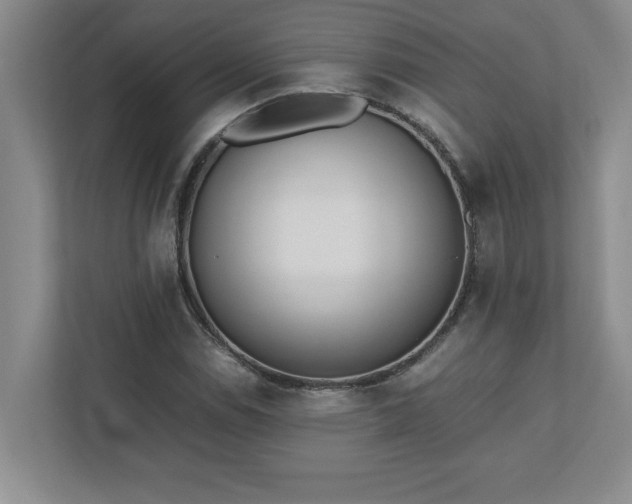 X0000110771114200906221136