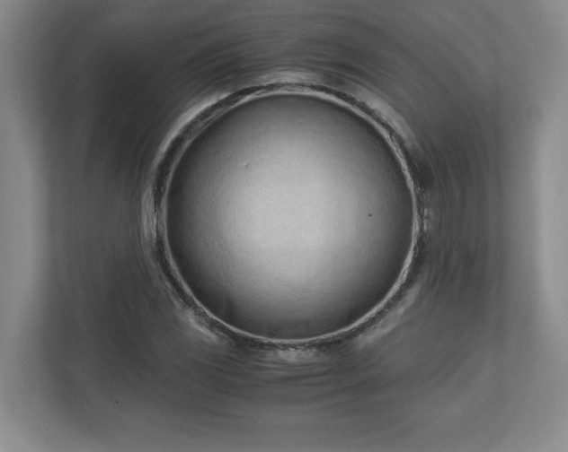 X0000110771117200906221136