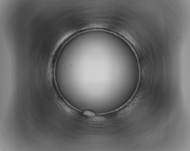 X0000110771119200906221136