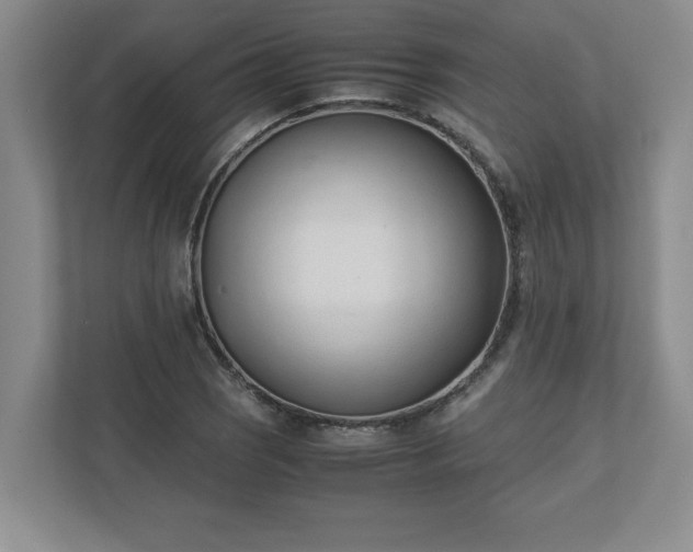 X0000110771121200906221137