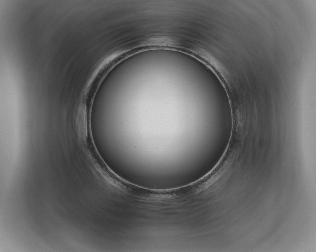 X0000110771123200906221137