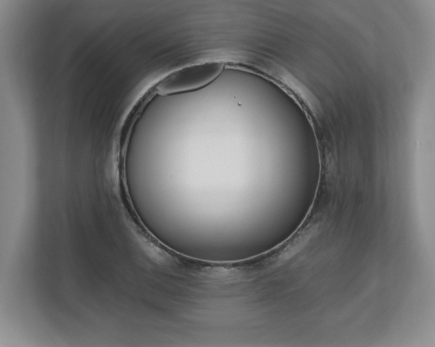 X0000110771124200906221137