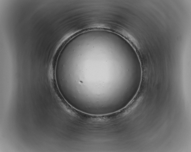 X0000110771125200906221137