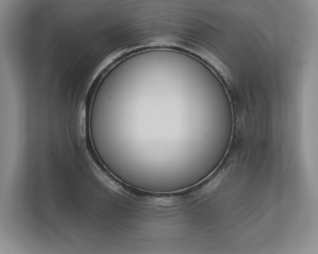 X0000110771126200906221137