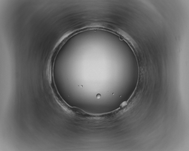 X0000110771127200906221137