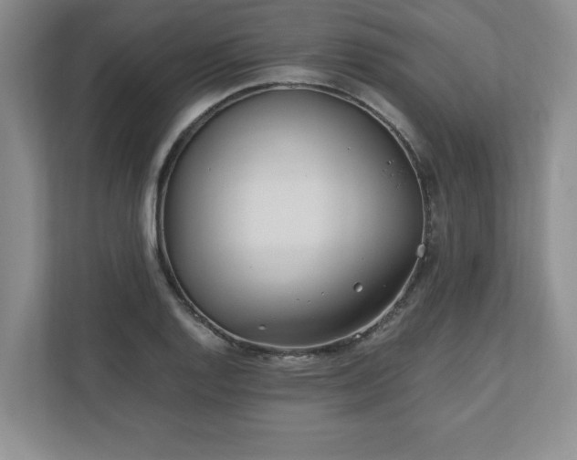 X0000110771128200906221137