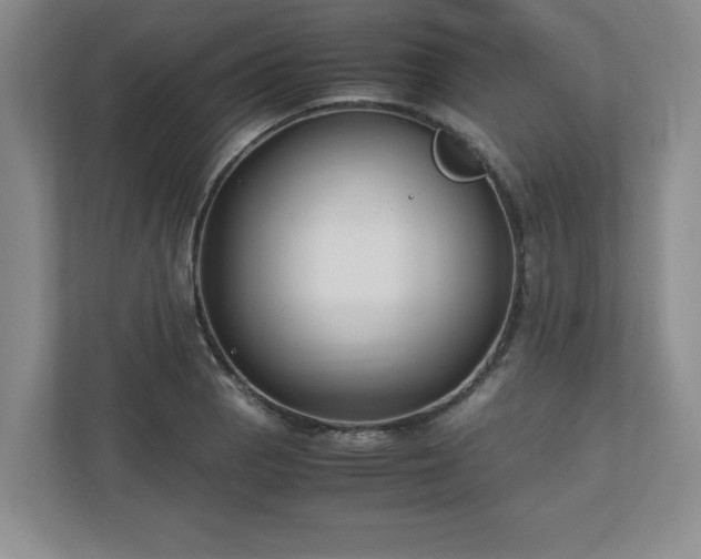 X0000110771129200906221137