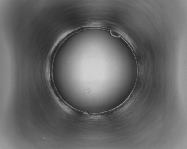 X0000110771131200906221137