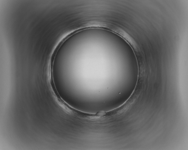 X0000110771132200906221137