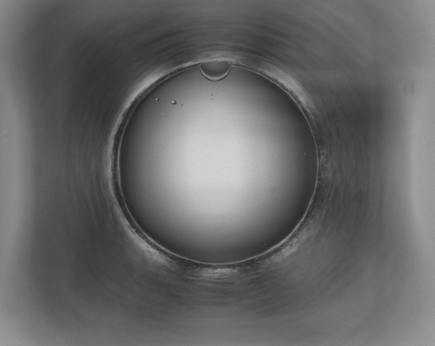 X0000110771135200906221137