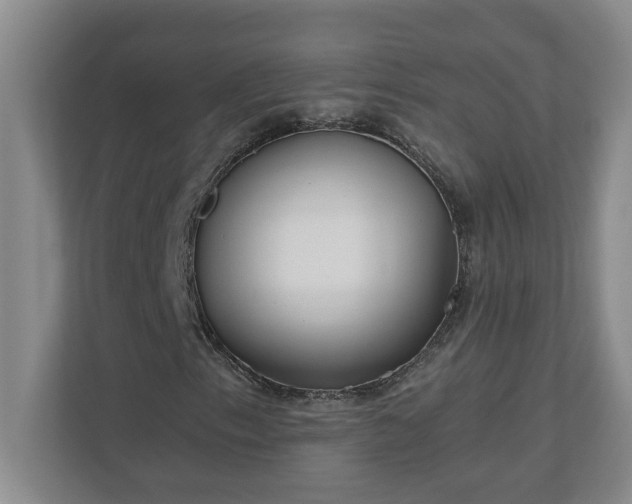 X0000110771153200906221136