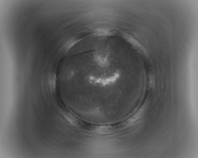 X0000110771161200906221136