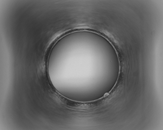 X0000110771167200906221136