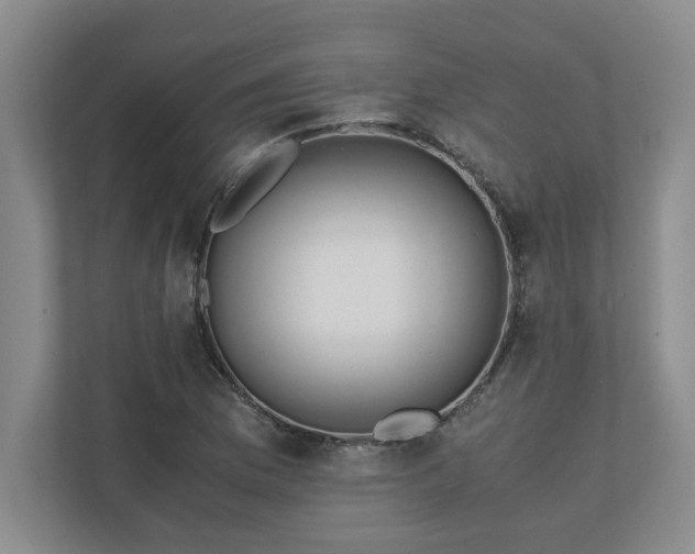 X0000110771169200906221136