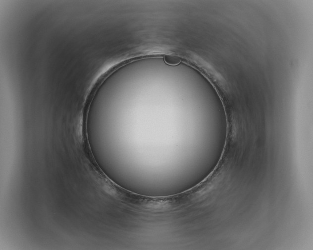 X0000110771174200906221136