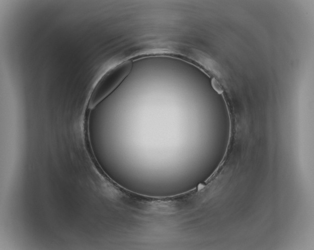 X0000110771181200906221136